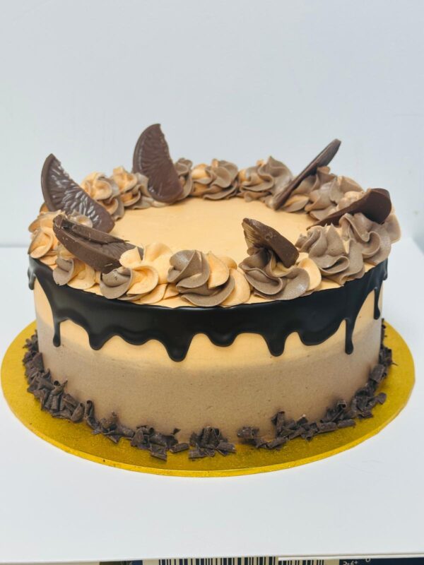 New Terrys Chocolate Orange Cake